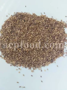 Bulk Sesame seeds. Buy Sesame seeds. Sesame seeds for sale. Brown Sesame seeds wholesale price. Buy Simsim seeds. Bulk roasted white Sesame seeds. Sesame price. Benni seed in bulk. Cost of Sesame seeds. Sesame seeds purchase. Organic Sesame seeds bulk. Sesame seed price. Buy Sesame seeds in bulk. Bulk Sesame. Buy Sesame. Purchase Sesame seeds. Benne seeds for sale. Buy Til seeds. Brown Sesame for sale. Sesame where to buy.