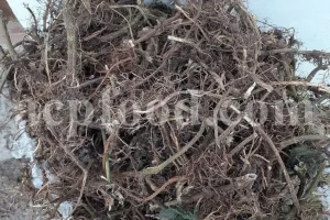 Nettle roots - New Stock Information and Price from ACPFOOD - May 2025