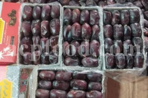 Mazafati Date 30 MT Available - New Stock Information and Price from ACPFOOD