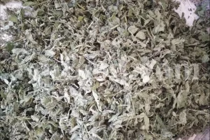 Dried Nettle Leaves - New Stock Information and Price from ACPFOOD - May 2025
